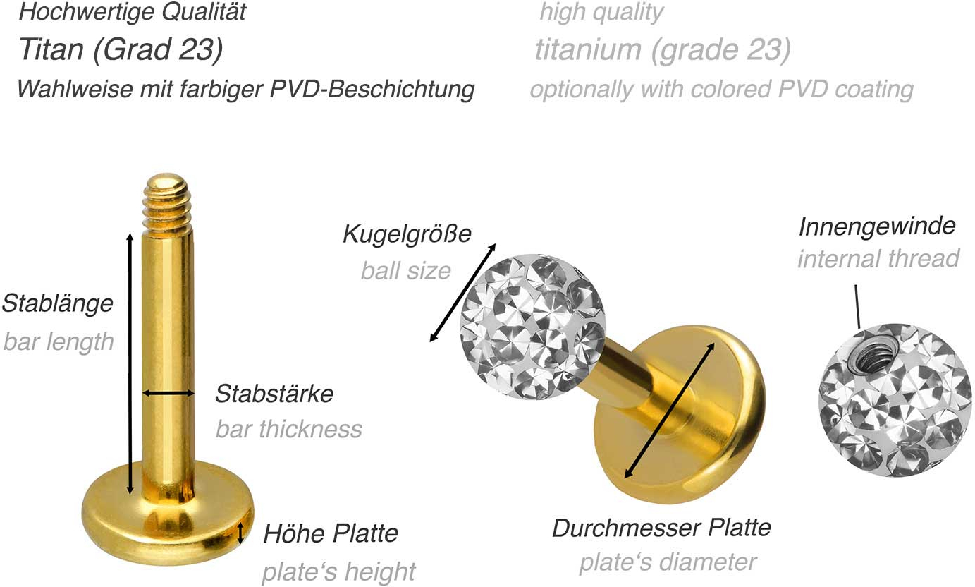Conch Piercing 1,6mm Titan Labret Mit Kugel 1,6 Mm Stärke